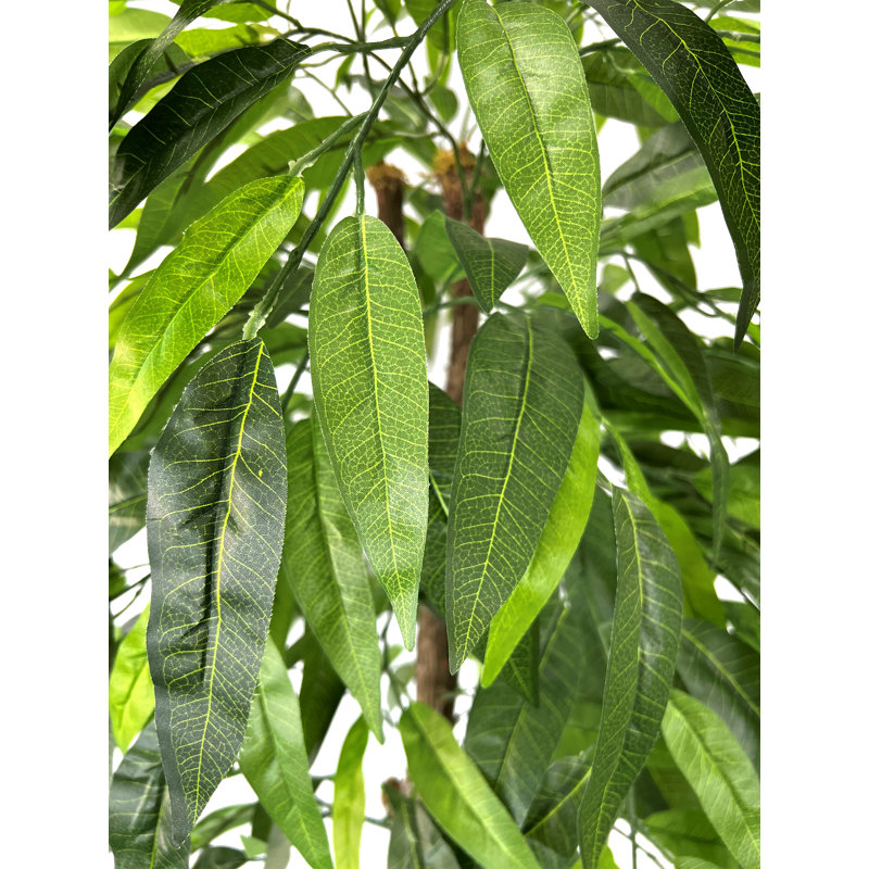 Primrue HandMade Primrue All Seasons 6'' Artificial Mango Tree Wayfair